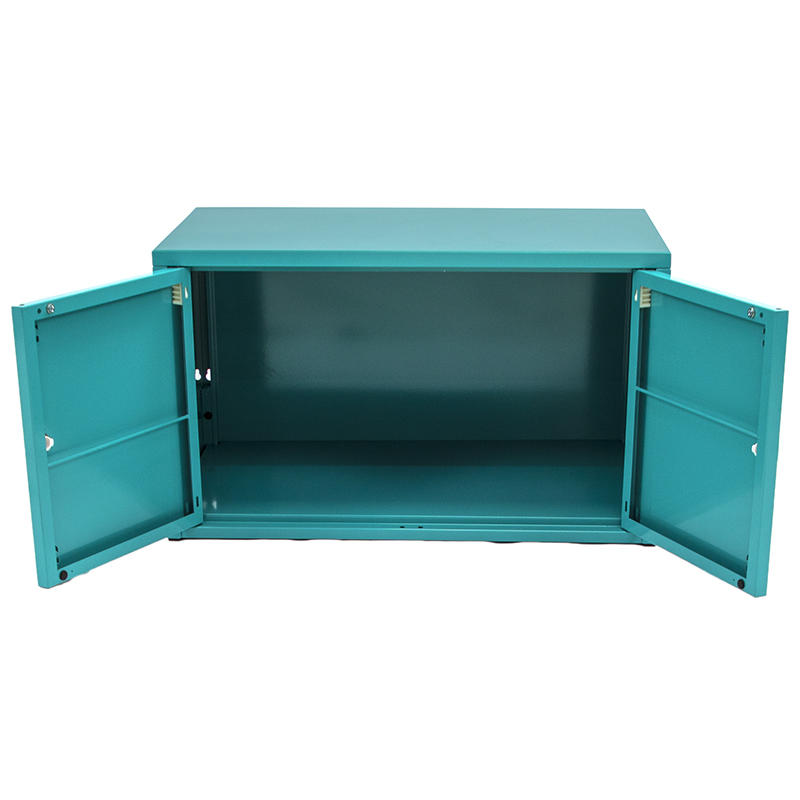 Steel Wall-Mounted Storage Cabinets